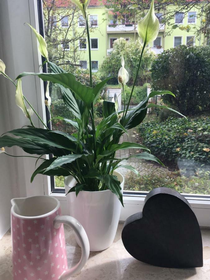 Gemuetliche Ferienwohnung Im Erdgeschoss- Jenaer Strasse エアフルト エクステリア 写真